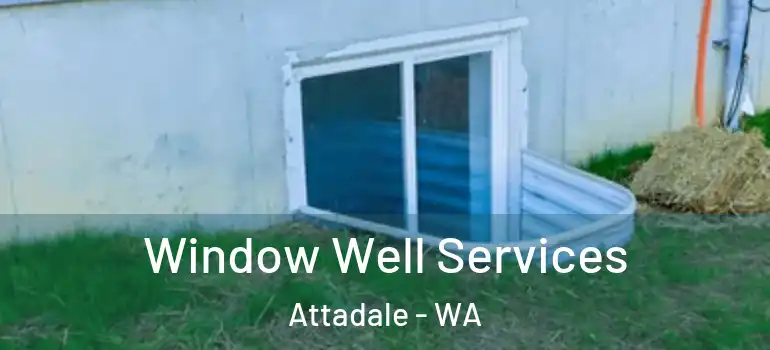  Window Well Services Attadale - WA