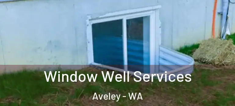 Window Well Services Aveley - WA