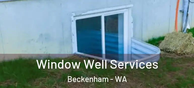 Window Well Services Beckenham - WA