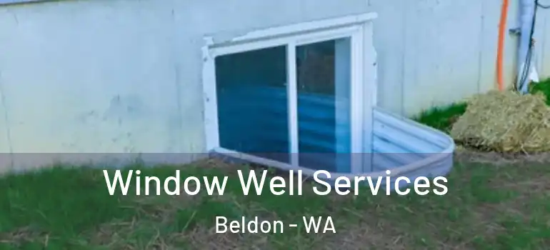 Window Well Services Beldon - WA