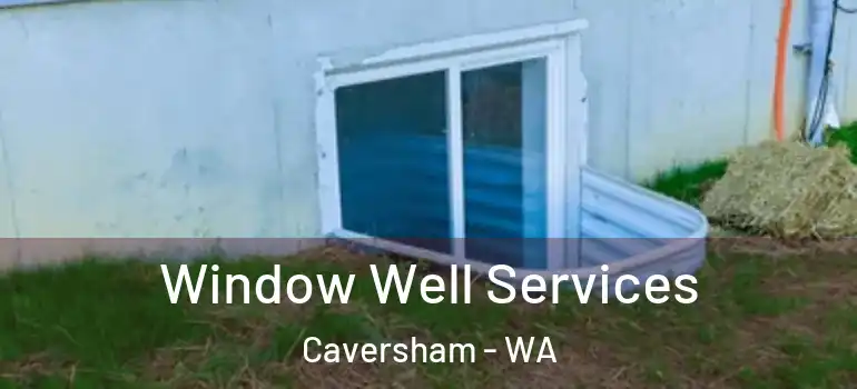 Window Well Services Caversham - WA
