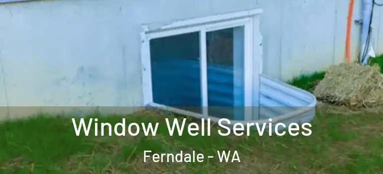 Window Well Services Ferndale - WA