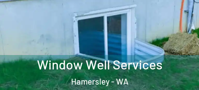 Window Well Services Hamersley - WA