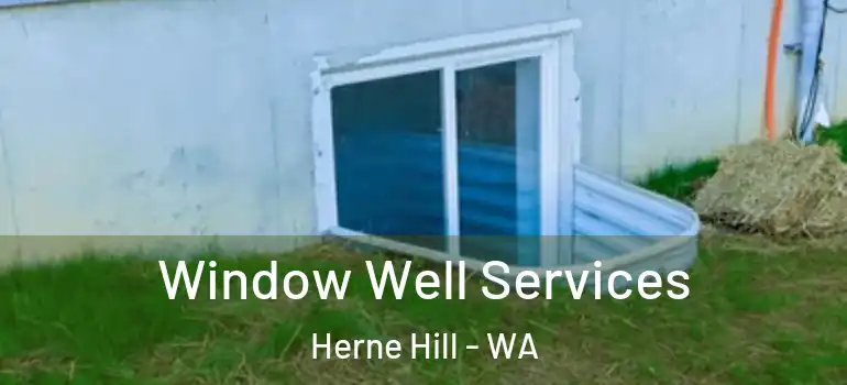  Window Well Services Herne Hill - WA
