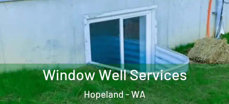  Window Well Services Hopeland - WA