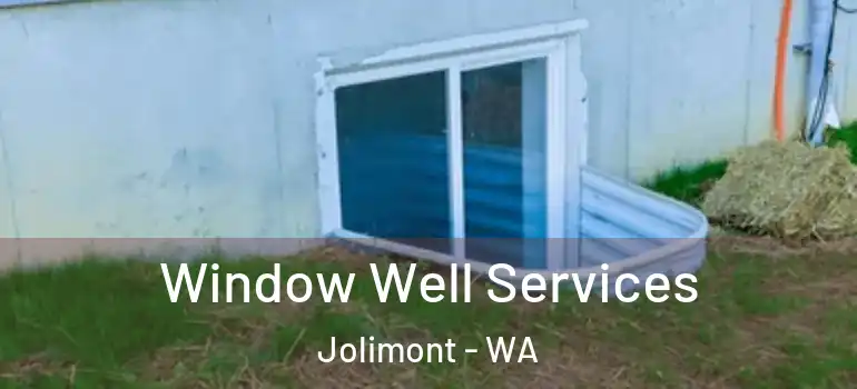  Window Well Services Jolimont - WA